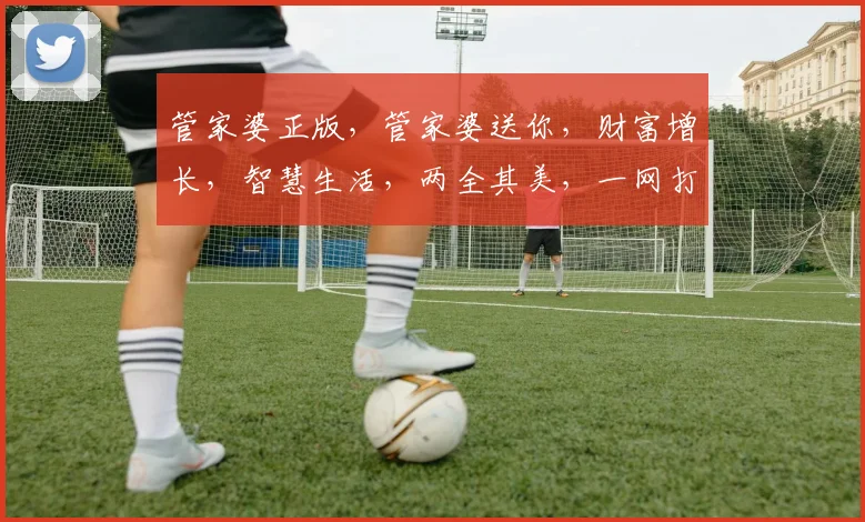 管家婆正版，管家婆送你，财富增长，智慧生活，两全其美，一网打尽。