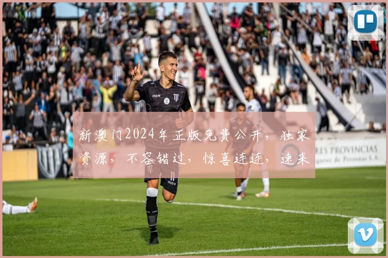 新澳门2024年正版免费公开，独家资源，不容错过，惊喜连连，速来下载