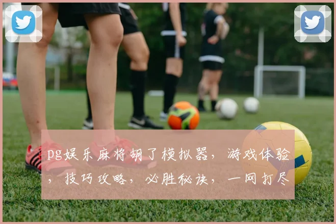 pg娱乐麻将胡了模拟器，游戏体验，技巧攻略，必胜秘诀，一网打尽